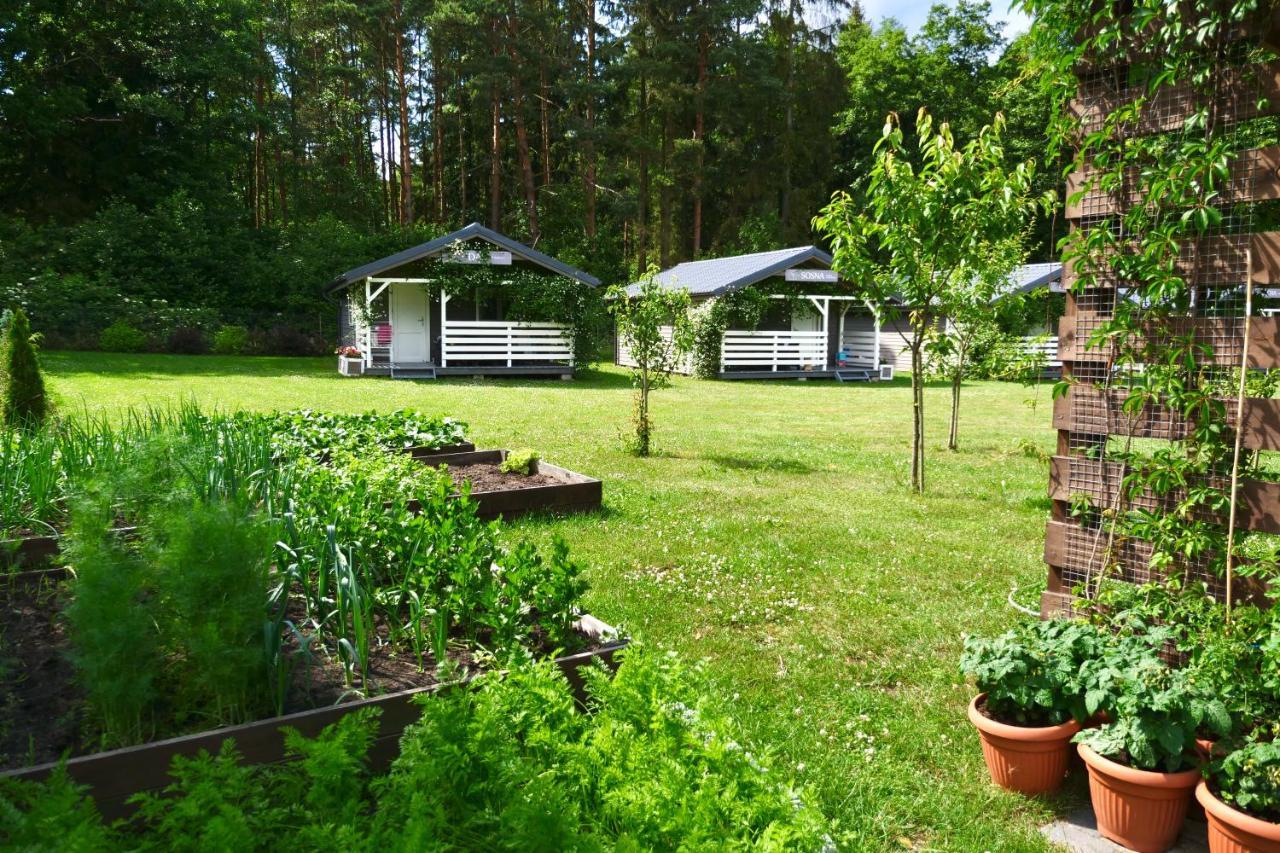 Lodge Przylesie21 Stolpmünde