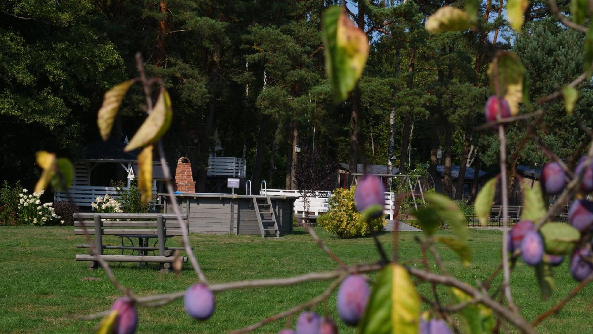 Przylesie21 * Ustka
