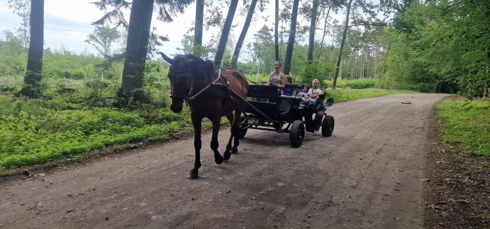 Przylesie21 Stolpmünde
